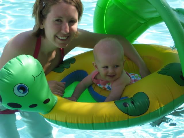 turtle float swimming